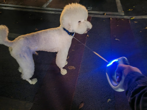 Pawsential™ UFO Futuristic Retractable Dog Leash - Hands-Free RGB LED Ring Light