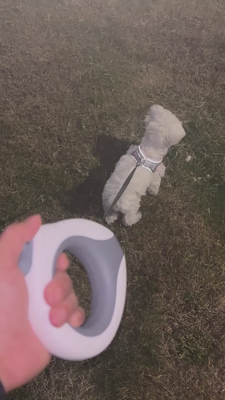 Pawsential™ UFO Futuristic Retractable Dog Leash - Hands-Free RGB LED Ring Light